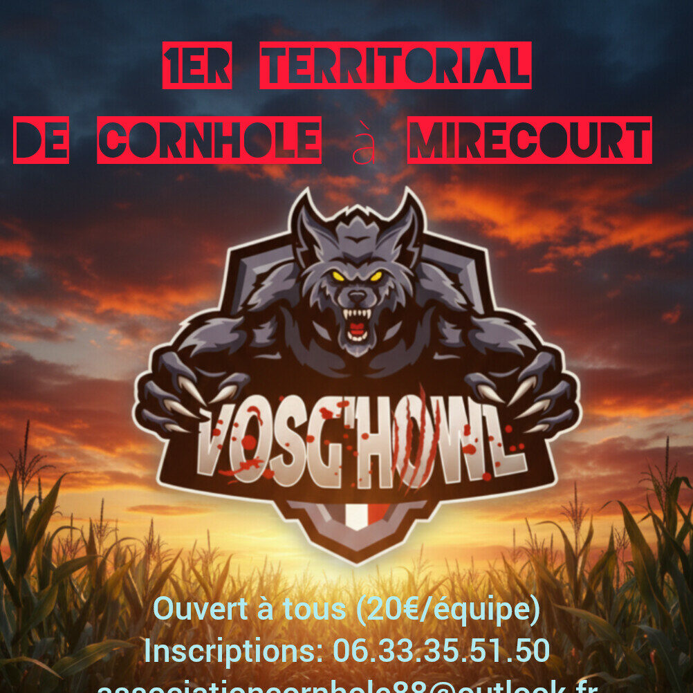 2026-02 tournoi vosghowl